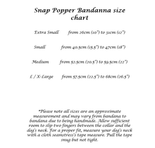 Load image into Gallery viewer, Anchors Away Snap Popper Bandana